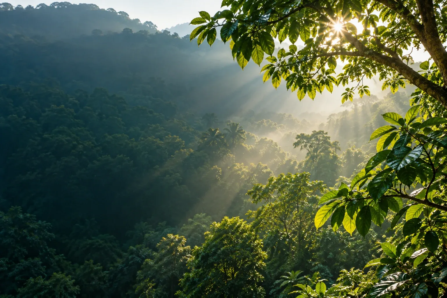 Sunlight filtering through a green forest canopy — AI-generated illustration